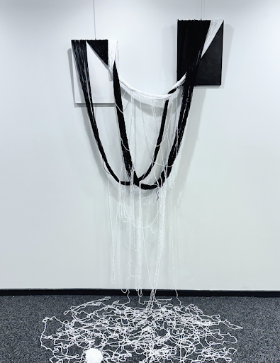 Megan Fang's 2025 artwork installation showing black and white threads cascading from wall panels to the floor.